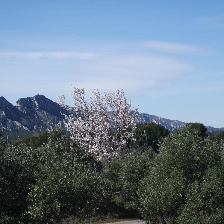 Eygalières Mas Grimaud - Gite- Studio Et Chambres D'Hotes Familiales المظهر الخارجي الصورة